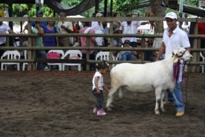 Desde los 2 años María Antonia estuvo mostrando ovinos al lado de su tío Rafael.