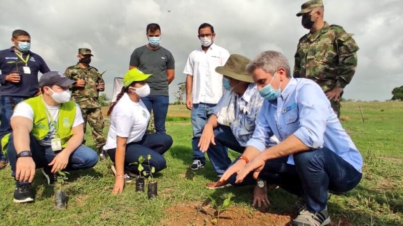 Carlos Eduardo Correa participó en la sembratón en el Centro de Investigación Turipaná de Agrosavia