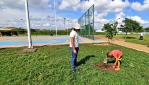 Niño regando árbol