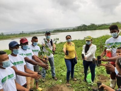 Urrá y comunidad de Tierralta siembran árboles