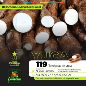 Compra local - yuca