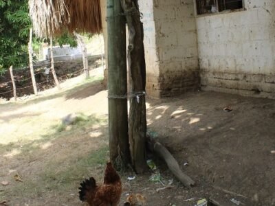 Habitante de la ruralidad en Córdoba