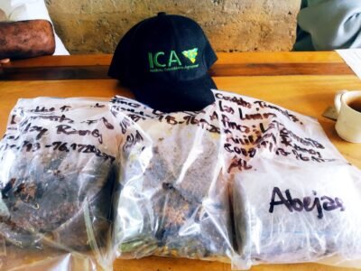 ICA abejas recolectadas