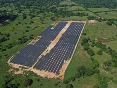 Planta Solar Pétalo - Green Yelow