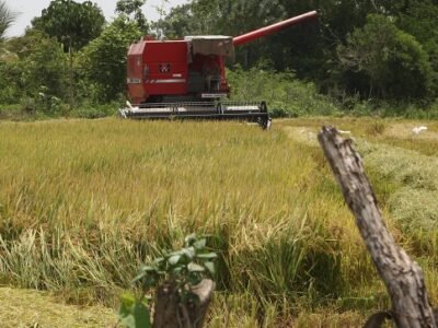 Arroz-trabajadores