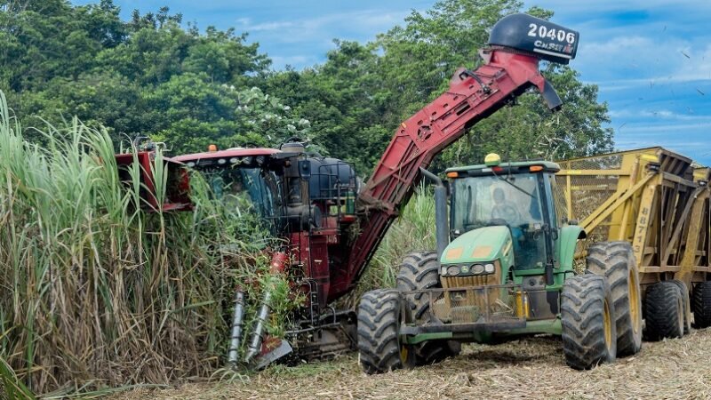 Caña-cosechamecanizada