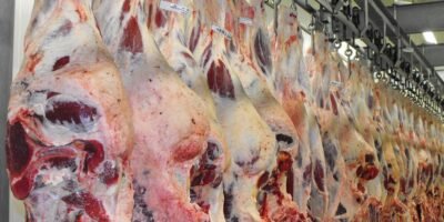Carne en cavas