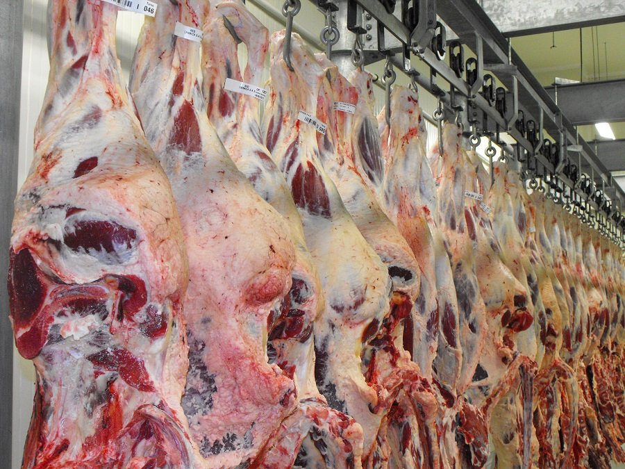 Carne en cavas