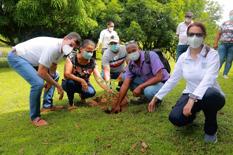 CerroMatoso-siembradeárbol