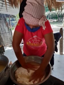 Guayacán-asientanelqueso