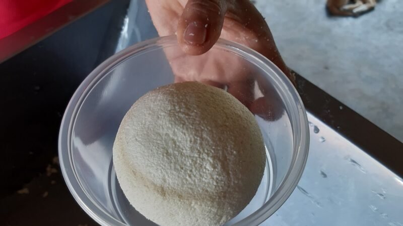 Guayacán-tarroconbola