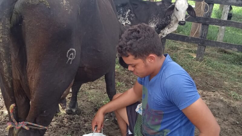 Luis Eduardo Pérez Madrid4