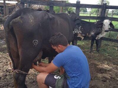 Luis Eduardo Pérez Madrid5