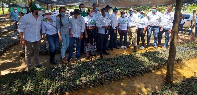 Reforestación Bajo Cauca-3