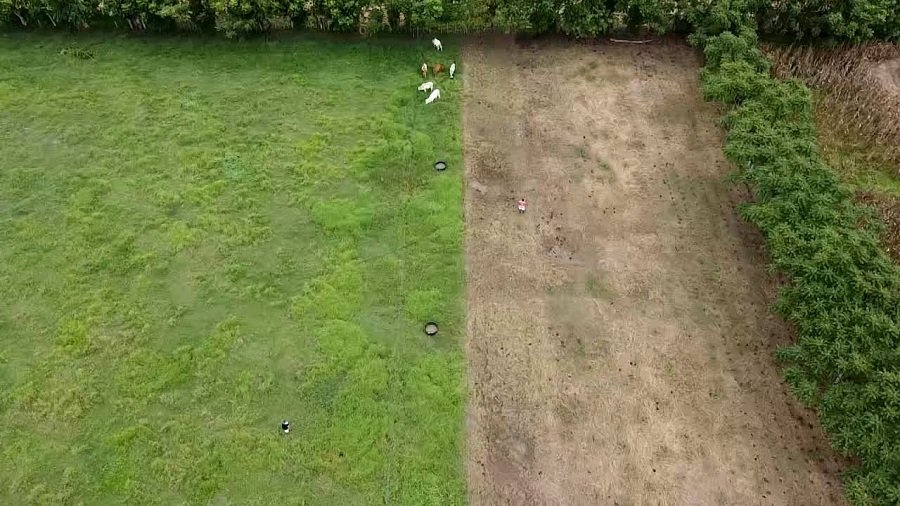 RodrigoGarcía-estiercolcomoabono