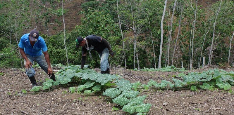 Ahuyama-PuebloBujo (150)