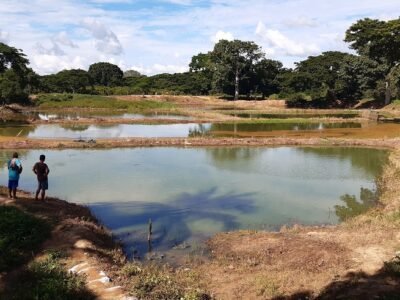 Buenavista-estanquesenSantaClara