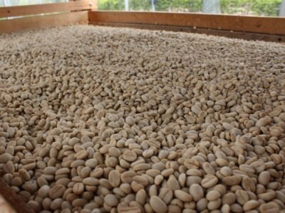 Cafecolombianoengranos