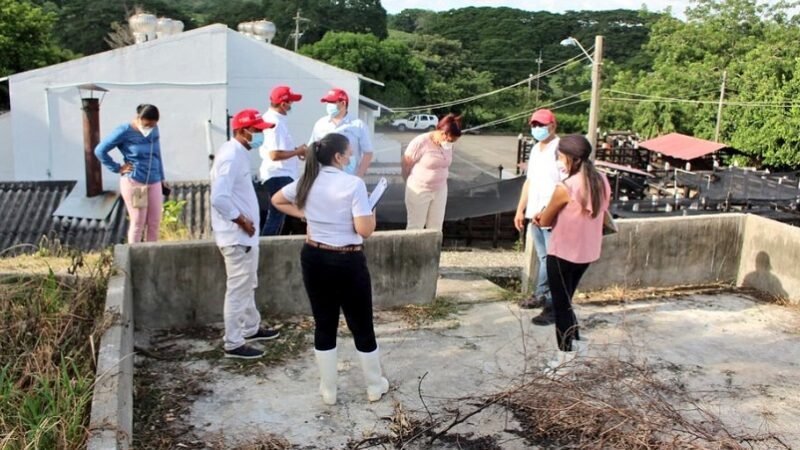 Lorica-plantadebeneficioanimal