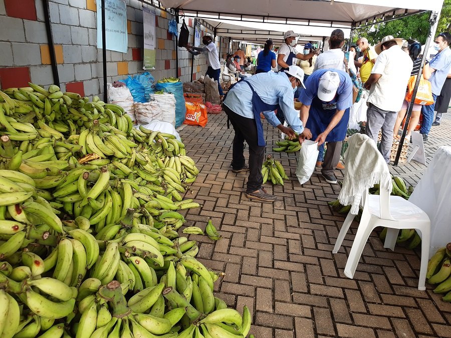 Mercadocampesino-actividadcomercial