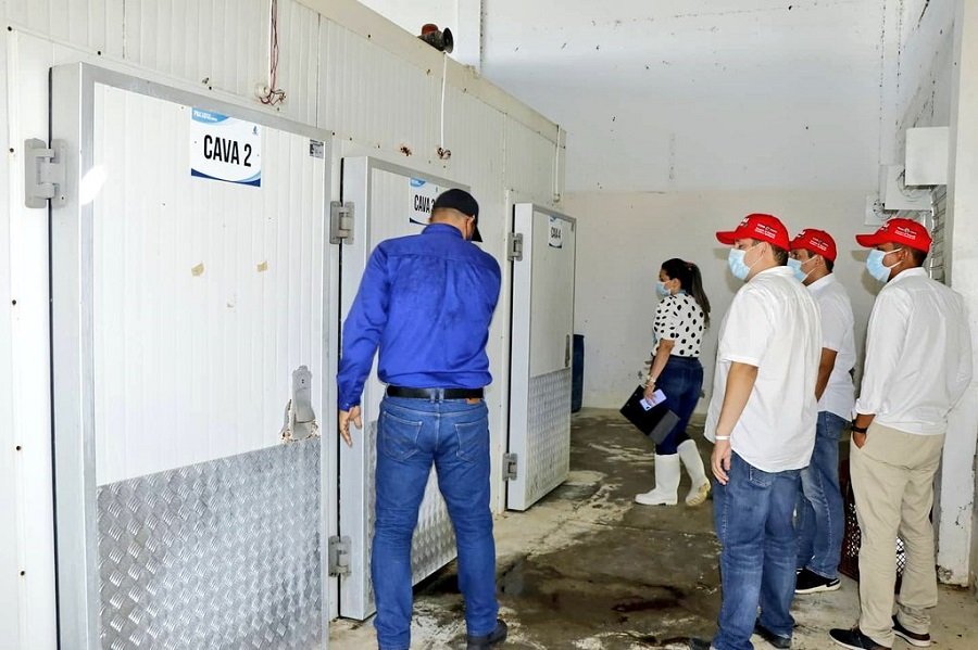 Montelíbano-plantadebeneficioanimal3