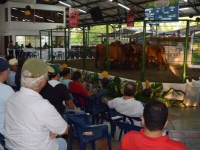 SUBASTAR S.A.-SubastaenMontería