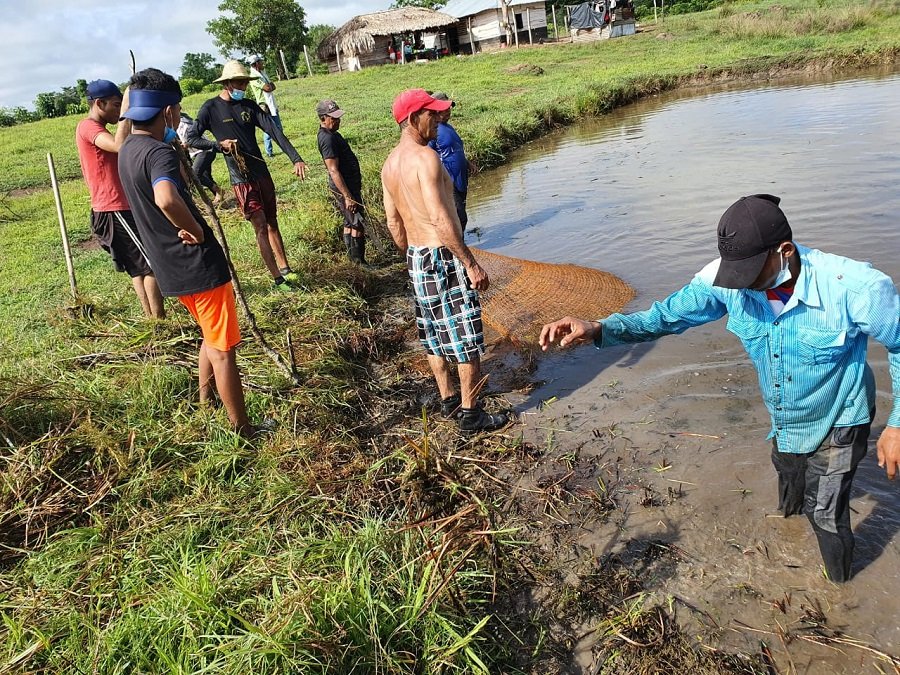 TresPalmas-precría-limpianestanques
