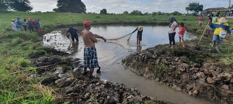 TresPalmas-precríadepeces