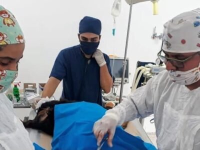 Unicor-cirugíasencaninos