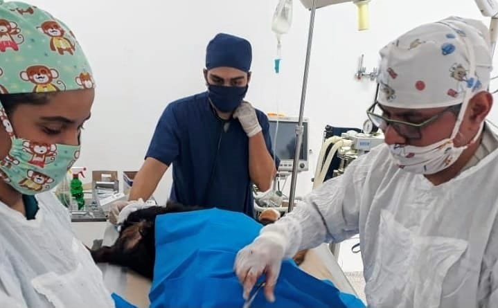 Unicor-cirugíasencaninos