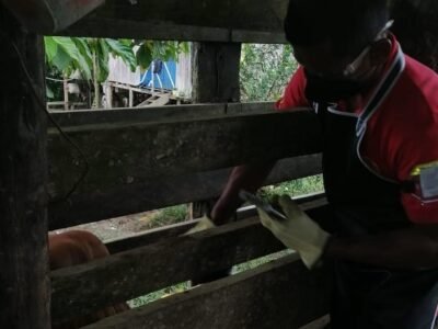 Vacunacióncontraaftosa-4dejulio