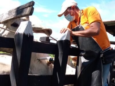 Vacunacióncontraaftosa-6dejulio