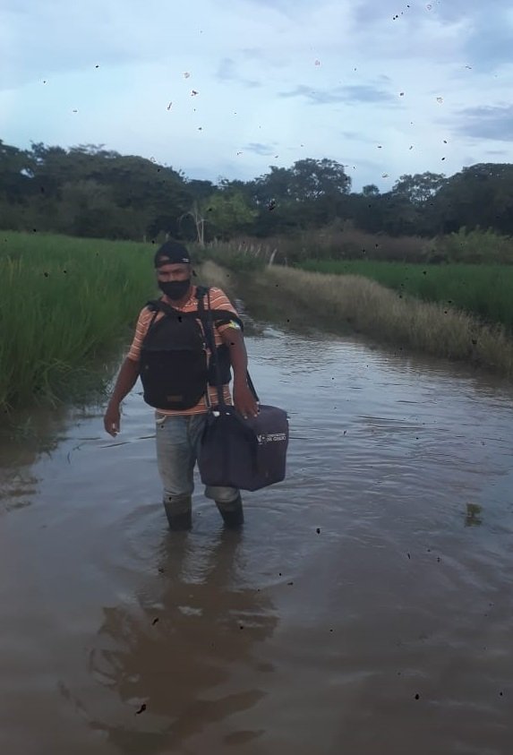Vacunador con invierno