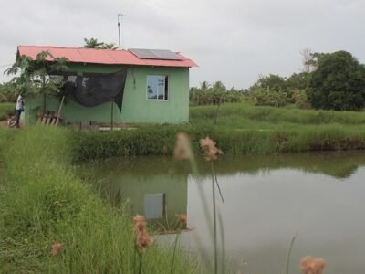 Asprocig-sistemacolectivo-panelessolares