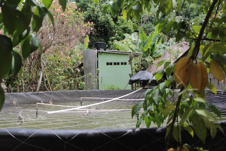 Asprocig-sistemageomembrana-familias