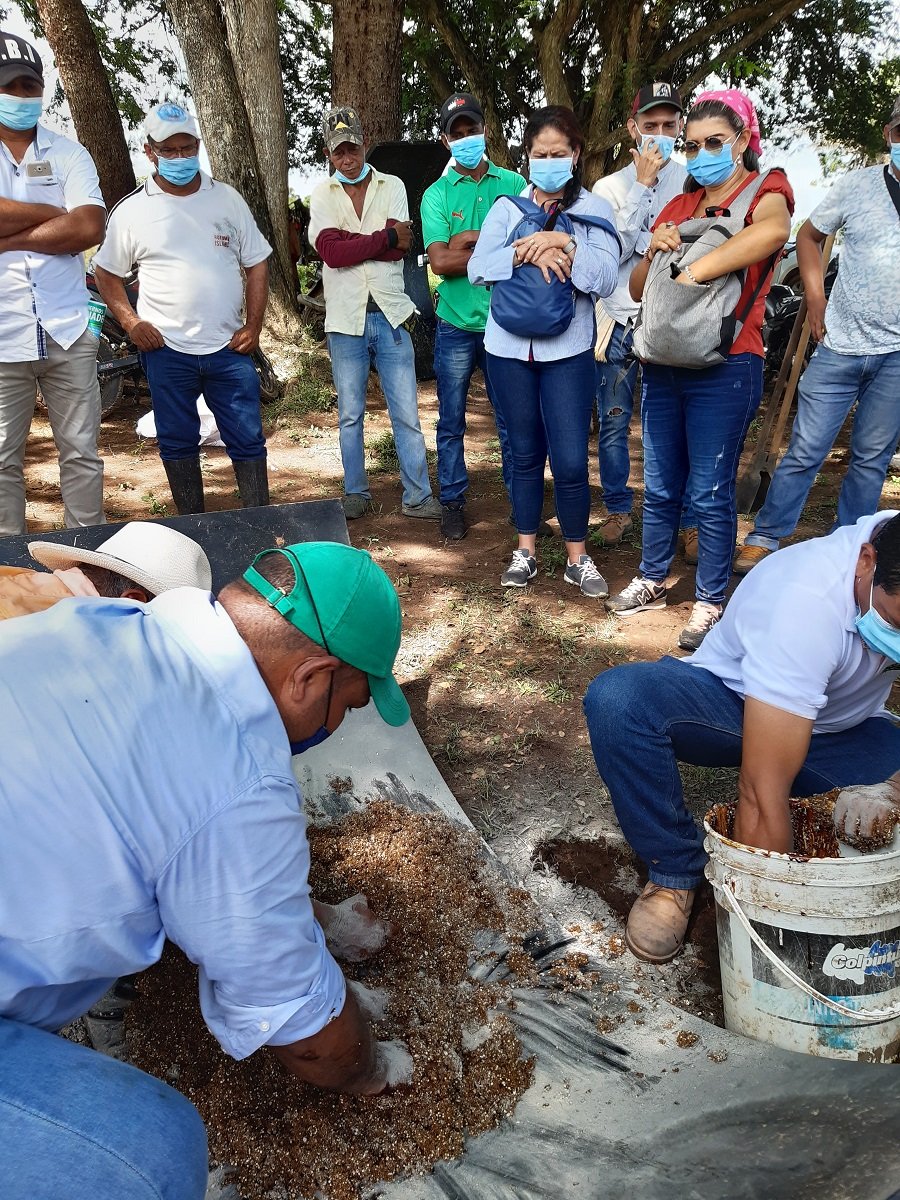 Bloques nutricionales