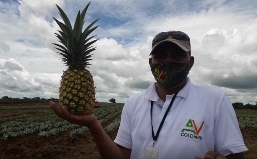 Buenavista-AVColombia-IbaldoJulioIbáñez