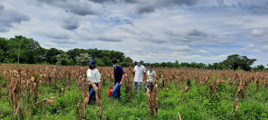 Conpes Lácteo - finca estudio de suelo