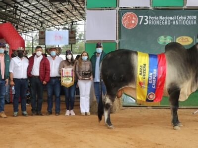 FeriaNacionalCebú-GranCampeón-Guzerá