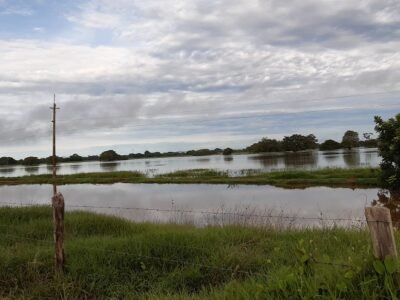 FincasdelBetancí-bajoagua