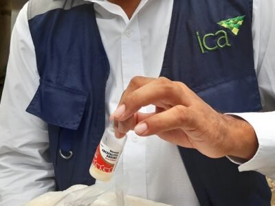 ICA-Encefalitisequina-vacuna