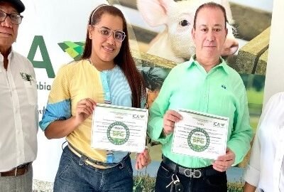 ICA-predioscertificadosenBPG-1