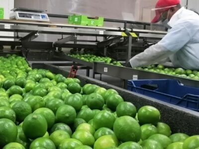 LimóndeColombia