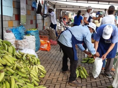 MercadoCampesino-ventadeplátanos