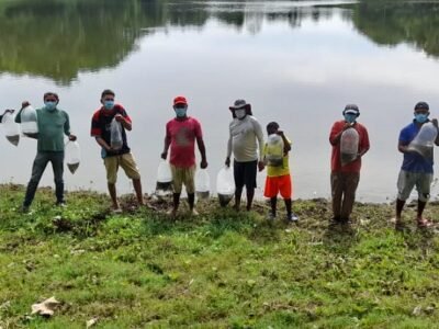 Moñitos-entregadealevinos2