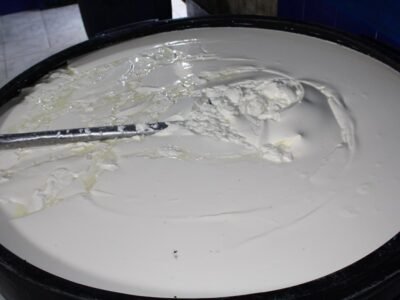 QueserasArtesanalesLorica (11)