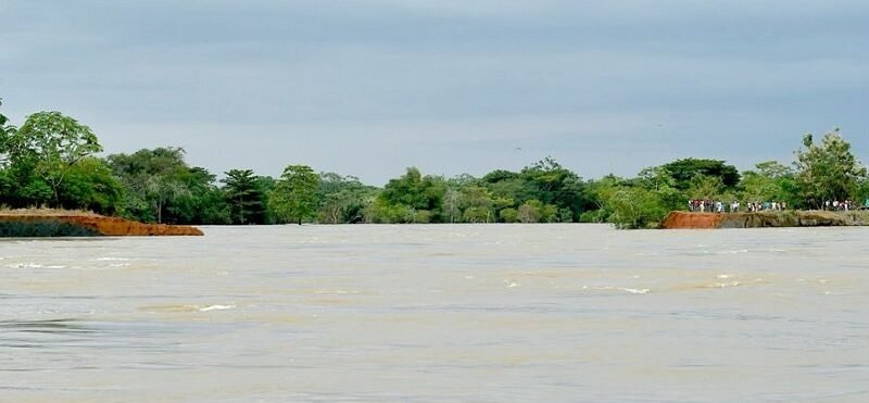 SanJacinto-CaradeGato-mejorfoto