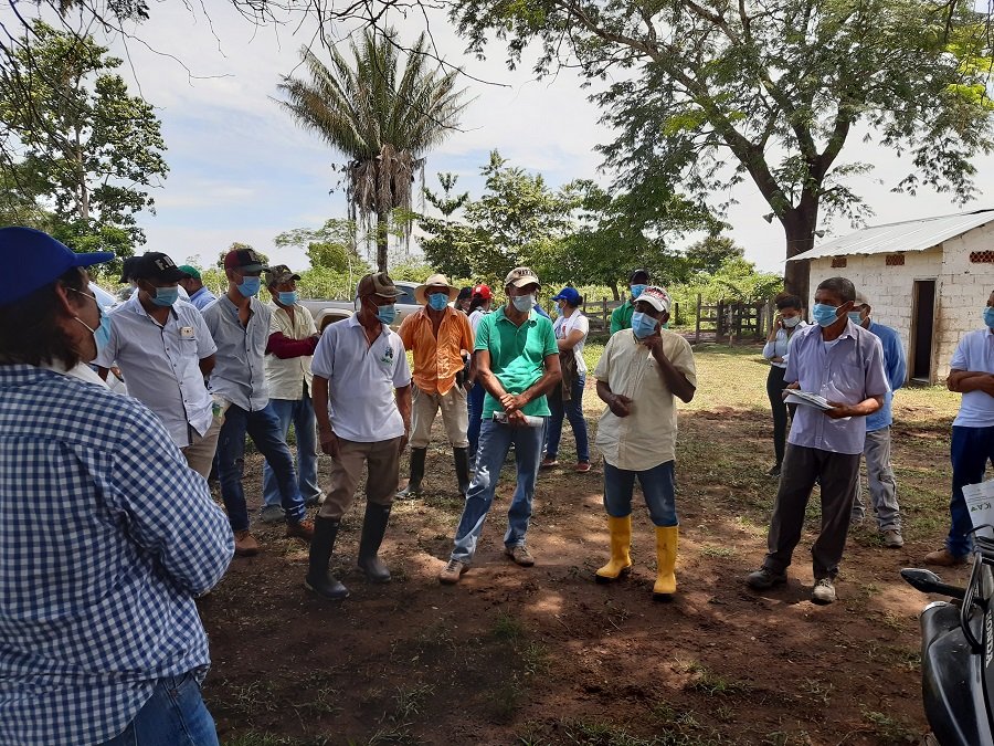 Sergio Mejía les enseña la importancia de los árboles