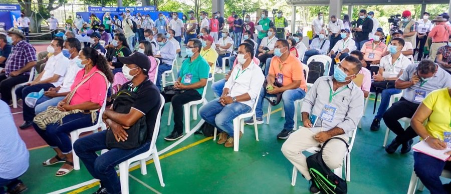 Sincelejo-productoresdeyucayñame