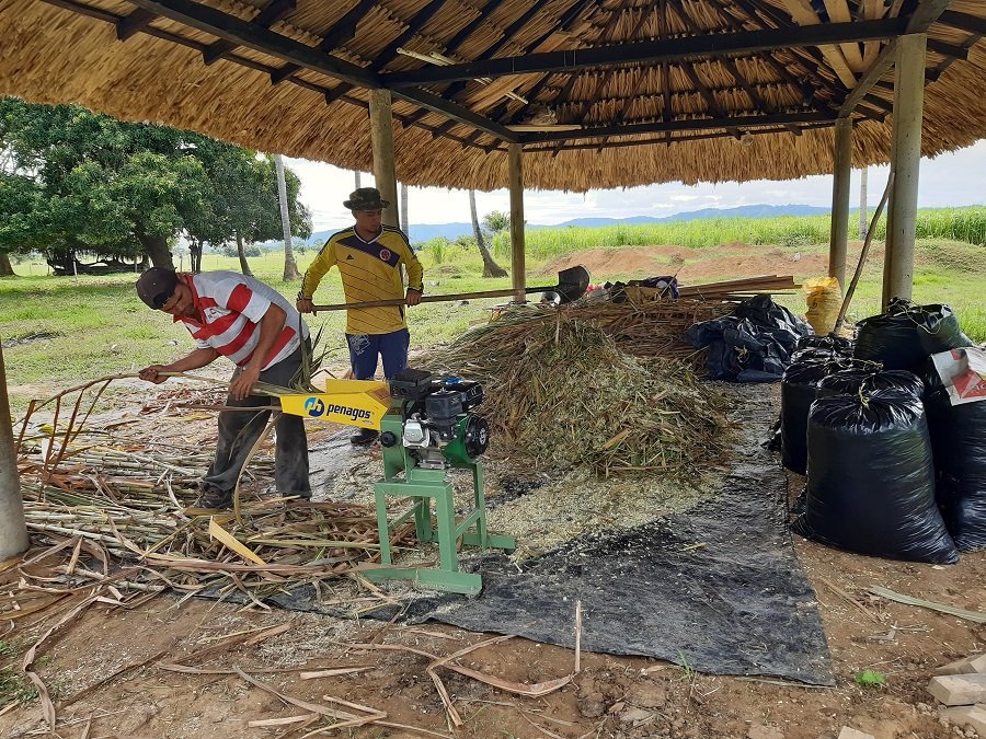 Tierralta-elaboranensilaje